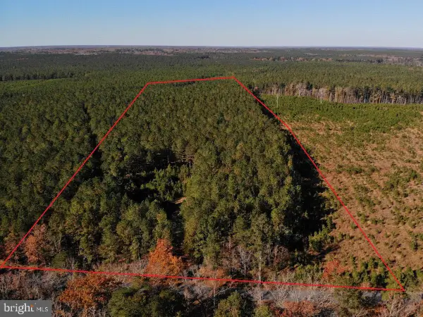 0 Pole Run Rd, DISPUTANTA, VA 23842