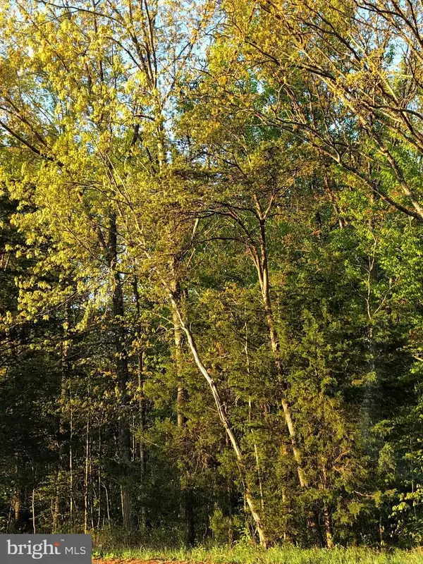 12054 Nokesville Rd, BRISTOW, VA 20136