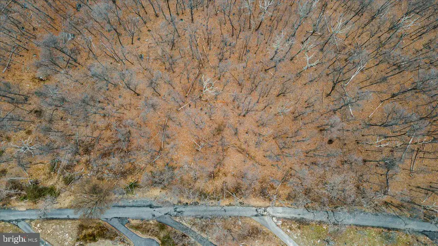 2625 Lookout Rd, Haymarket, VA 20169 - Image #3