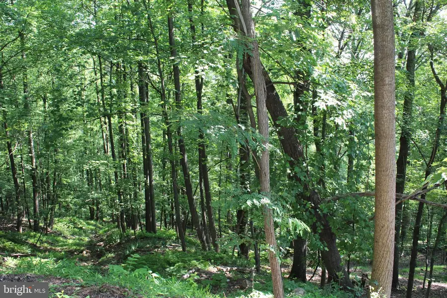 1507, 1505, 1503, 1501 Summit Dr, Haymarket, VA 20169 - Image #3