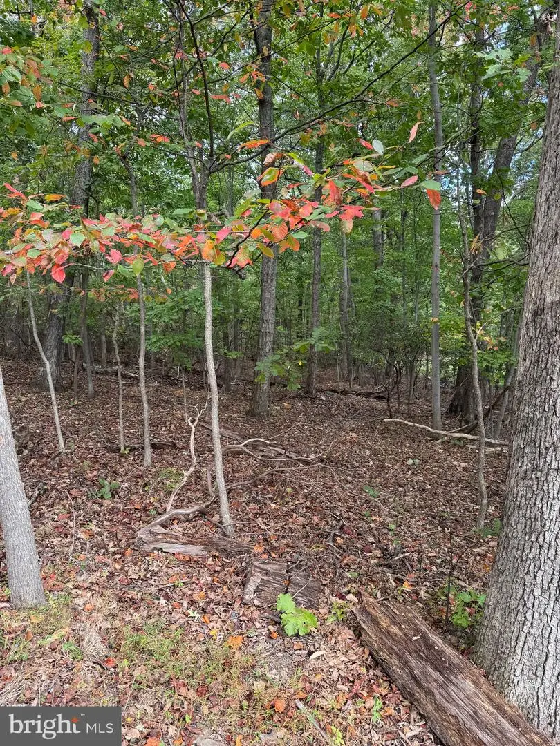 1832 Ridge Rd, Haymarket, VA 20169 - Image #1