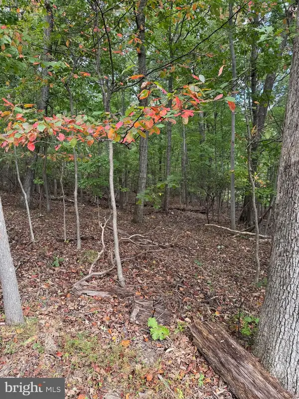 1832 Ridge Rd, HAYMARKET, VA 20169