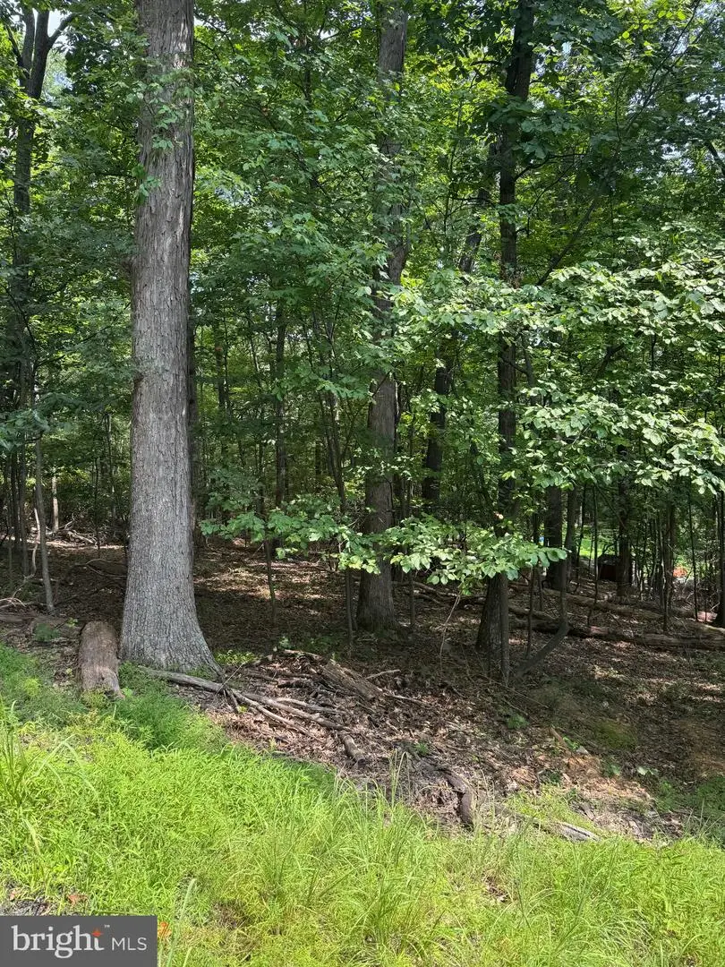 1832 Ridge Rd, Haymarket, VA 20169 - Image #2