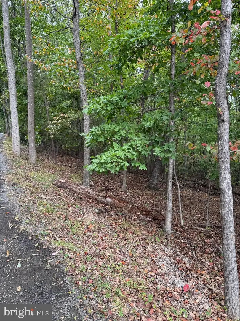 1832 Ridge Rd, Haymarket, VA 20169 - Image #3