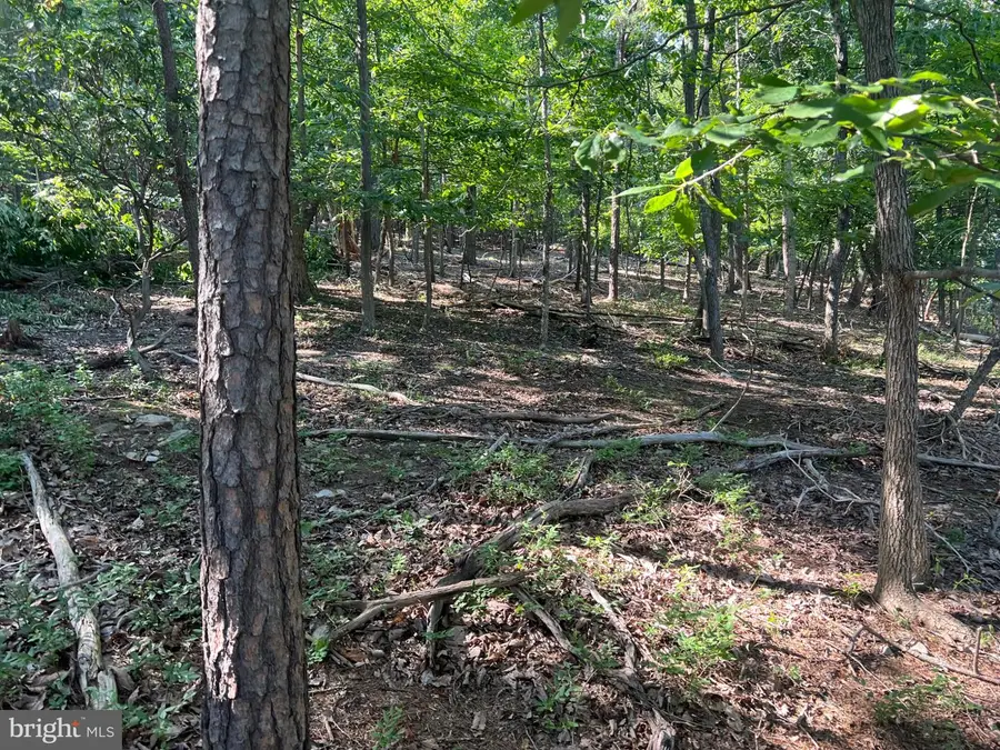 2608 Jackson Dr, Haymarket, VA 20169 - Image #3