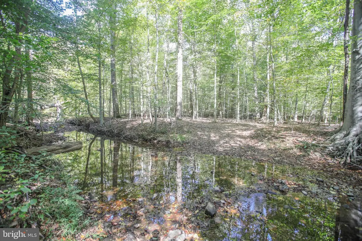 11521 Luther Dr, Manassas, VA 20112 - Image #1