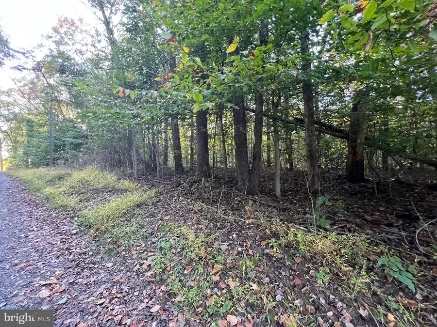 8125 Pappas Dr, Manassas, VA 20112 - Image #3