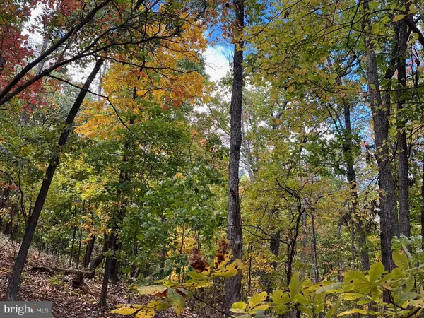 1855 Ridge Rd, HAYMARKET, VA 20169