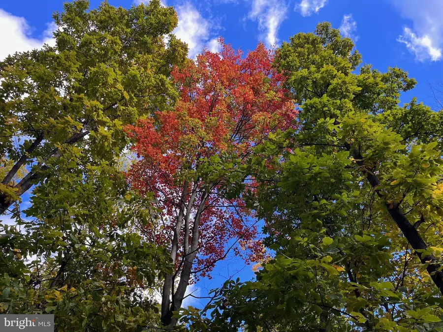 1855 Ridge Rd, Haymarket, VA 20169 - Image #2