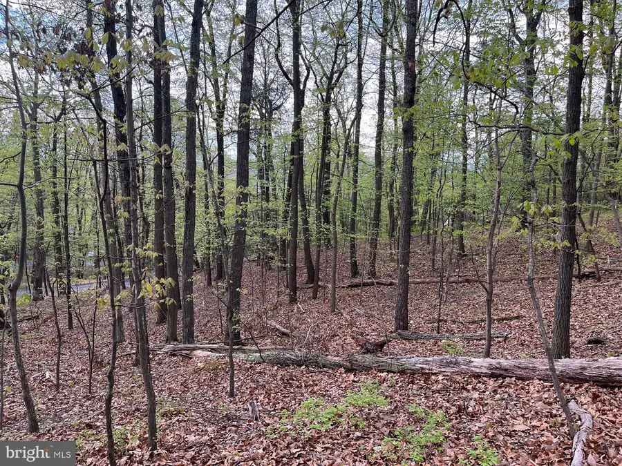 1855 Ridge Rd, Haymarket, VA 20169 - Image #3