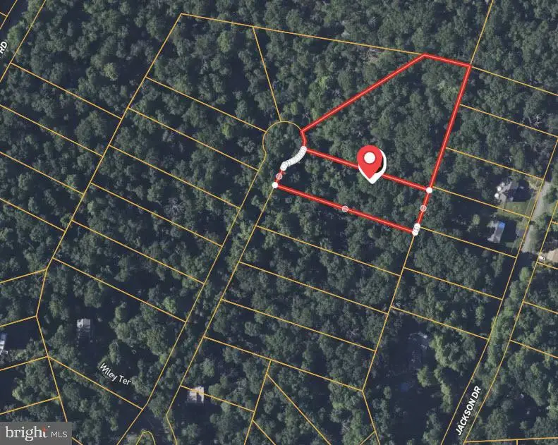 2585 Wiley Ter, Haymarket, VA 20169 - Image #2