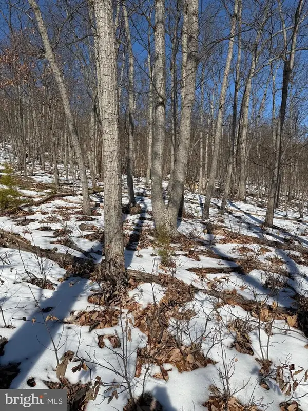 1706 Mercer Rd, HAYMARKET, VA 20169