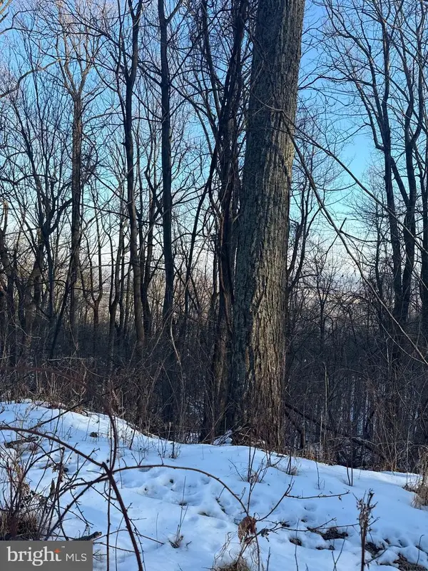 1607 Summit Dr, HAYMARKET, VA 20169