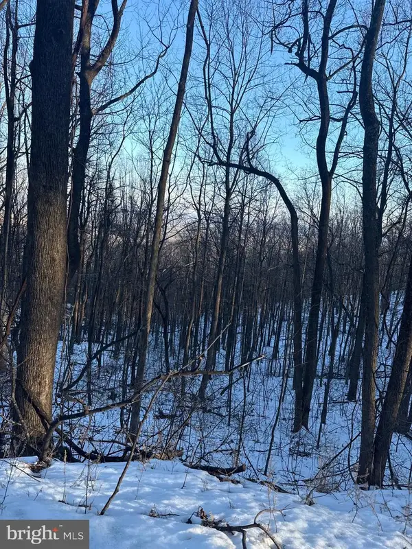 1609 Summit Dr, HAYMARKET, VA 20169