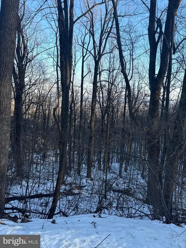 16209 Sumney Dr, HAYMARKET, VA 20169