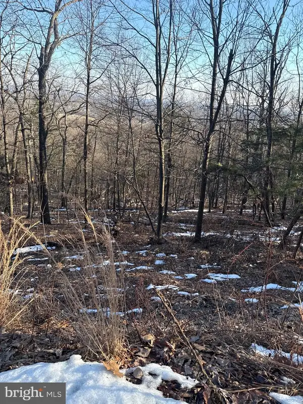 16251 Sumney Dr, HAYMARKET, VA 20169