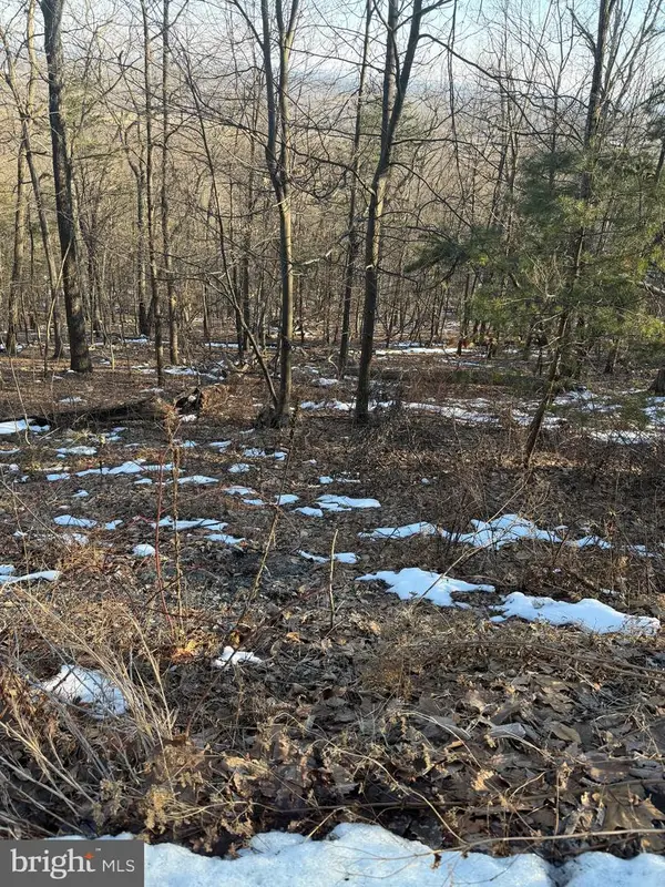 16253 Sumney Dr, HAYMARKET, VA 20169