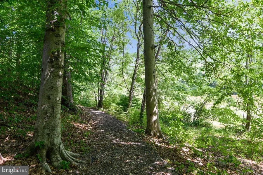 5211 Spring Branch Blvd, Dumfries, VA 22025 - #2