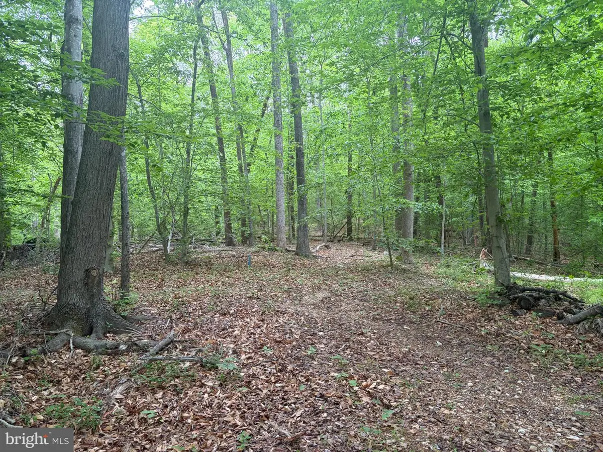 16921 Batestown Rd, Dumfries, VA 22025 - #1