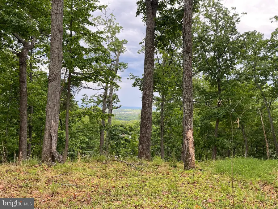 16207 Sumney Dr, Haymarket, VA 20169 - #2
