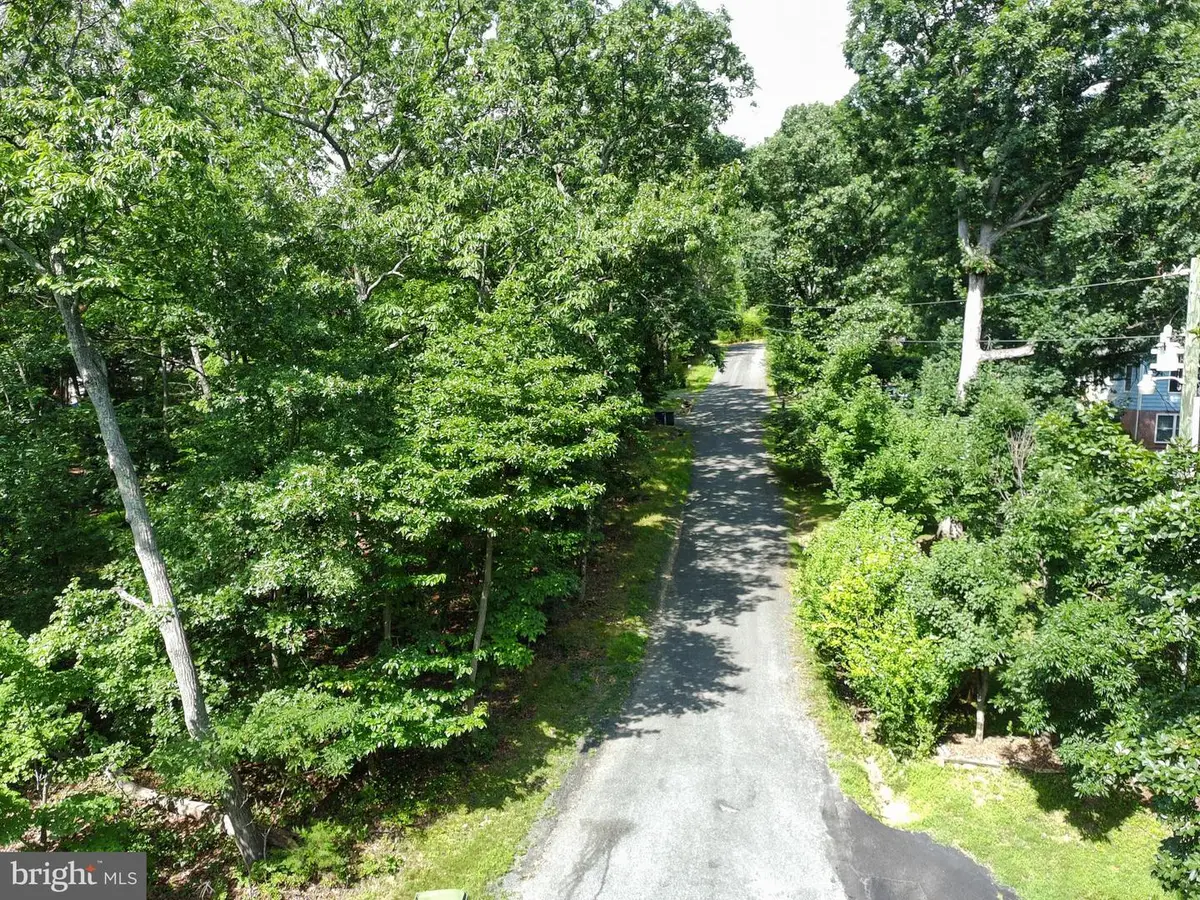 15797 Hickory Ln, Haymarket, VA 20169 - #1