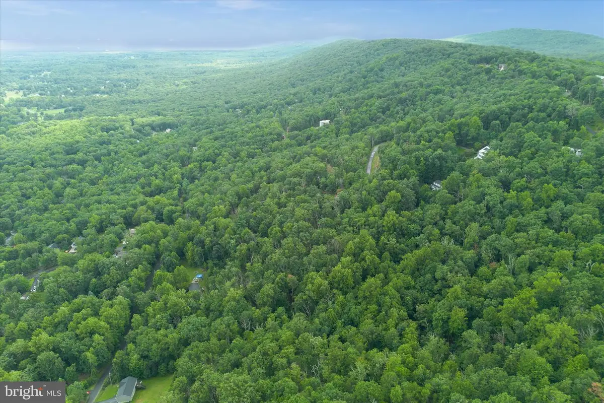 2591 Wiley Ter, Haymarket, VA 20169 - #1