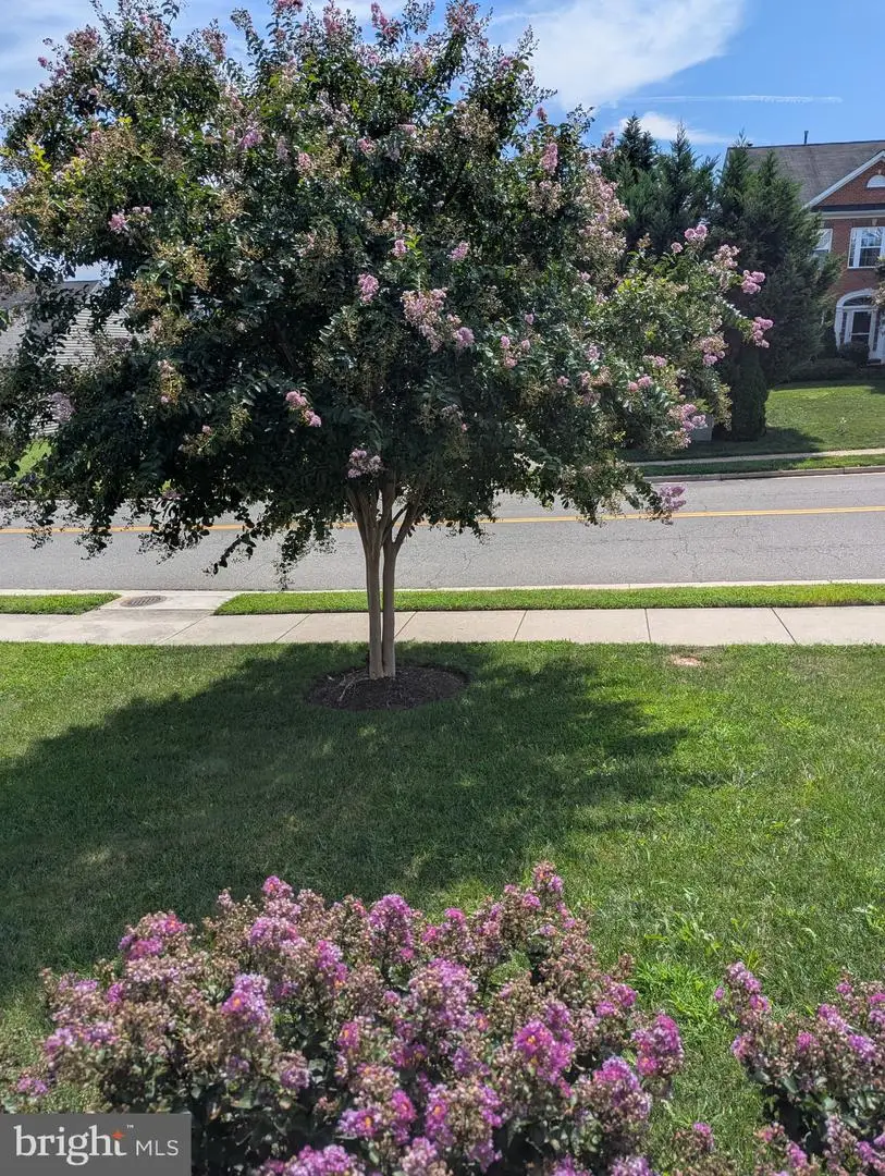 5598 Websters Way, Manassas, VA 20112 - #2
