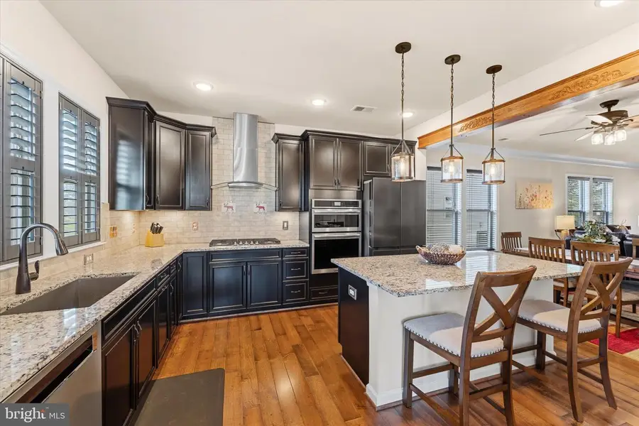 16132 Pink Poppy Way, Haymarket, VA 20169 - #2