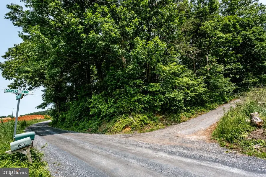 0 Piney Woods Rd, Timberville, VA 22853 - Image #3