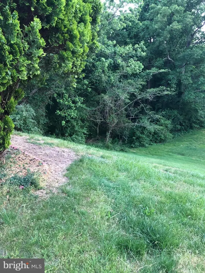 Bearfoot Ln Lot133-(2)-l2-5083-5889 Bearfoot Ln #5083,5130,5454,5889, Elkton, VA 22827 - Image #2