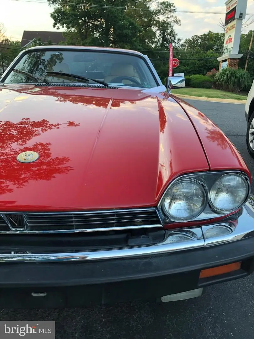 Bearfoot Ln Lot133-(2)-l2-5083-5889 Bearfoot Ln #5083,5130,5454,5889, Elkton, VA 22827 - Image #3