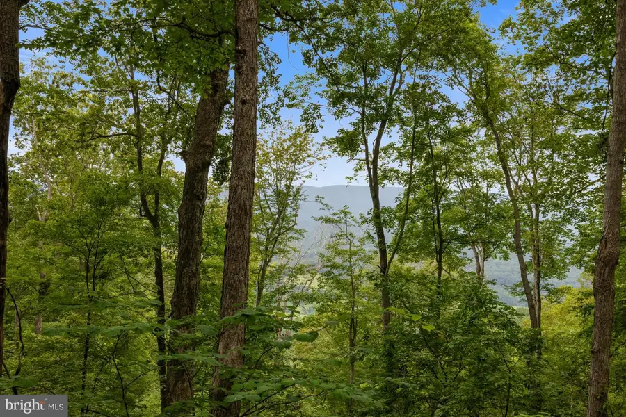 198 Acres Runions Creek, Broadway, VA 22815 - Image #2