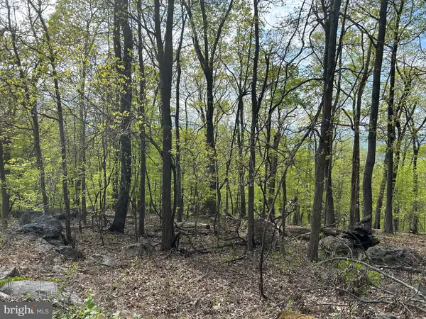 0, CHESTER GAP, VA 22623