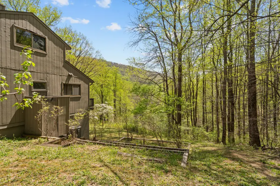 815 Gid Brown Hollow Rd, Washington, VA 22747 - #2