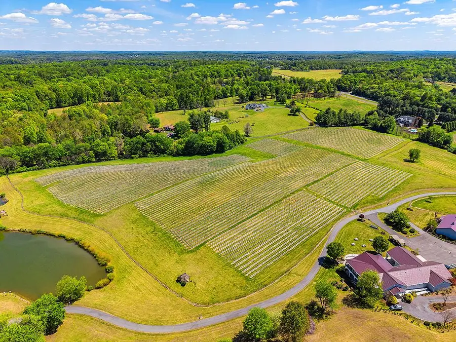 43 Narmada Ln, Amissville, VA 20106 - #3