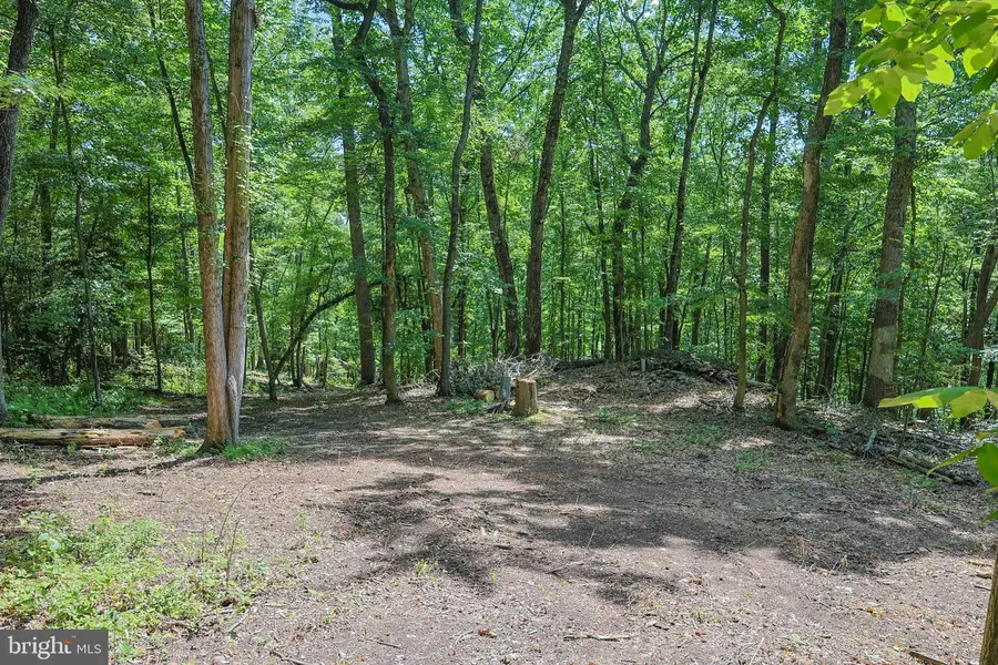 Tbd Comptons Rd, Castleton, VA 22716 - #2