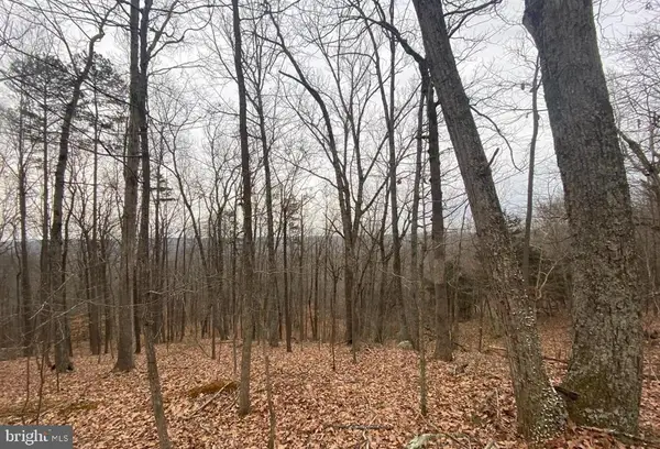 0 Turkey Ridge Road, CASTLETON, VA 22716