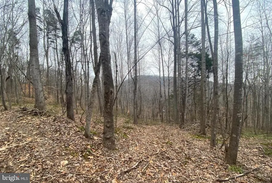 0 Turkey Ridge Road, Castleton, VA 22716 - #2