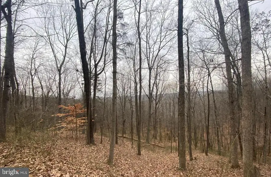 0 Turkey Ridge Road, Castleton, VA 22716 - #3