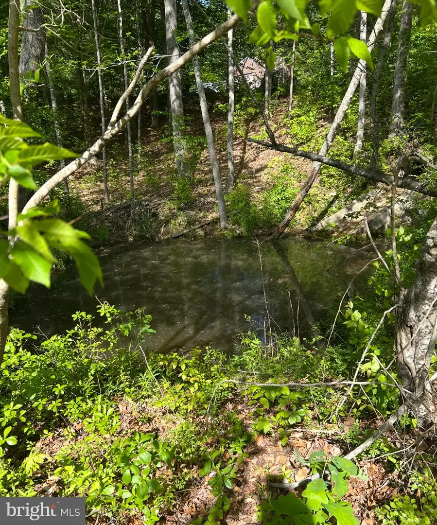 Lot 3 Wallace Street, Warsaw, VA 22572 - Image #1