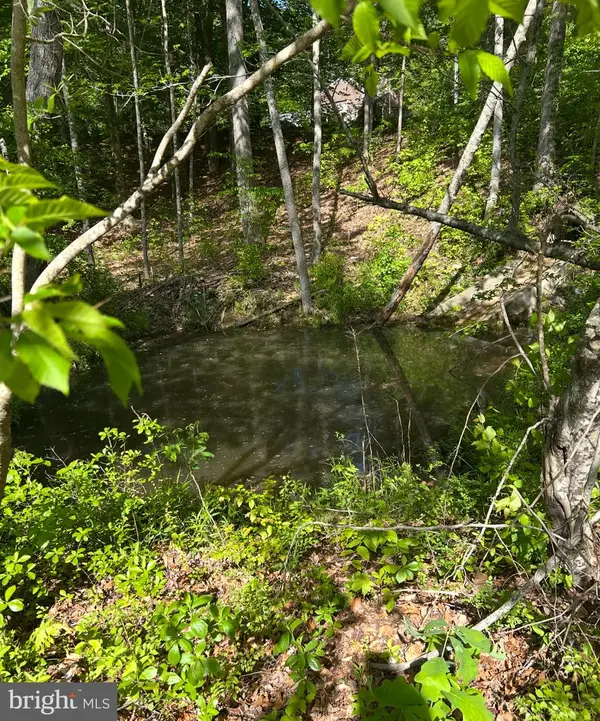 Lot 3 Wallace Street, WARSAW, VA 22572