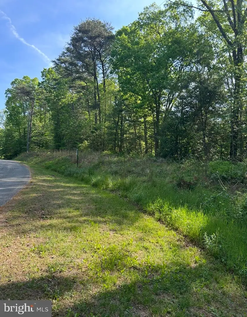 Lot 3 Wallace Street, Warsaw, VA 22572 - Image #3