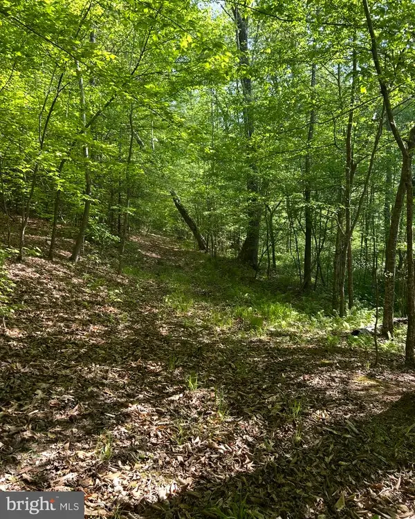 Lot 1 Wallace Street, WARSAW, VA 22572