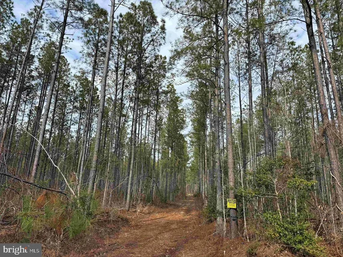 Dogwood Drive (tract: Tanager Et2-2006), Farnham, VA 22460 - #1