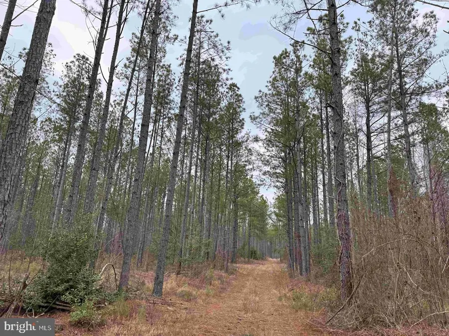 Dogwood Drive (tract: Tanager Et2-2006), Farnham, VA 22460 - #2