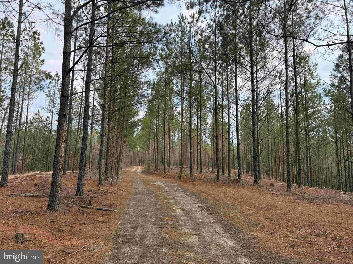 Calvary Church Road (tract: Tanager Et2-2011), Warsaw, VA 22572 - #1