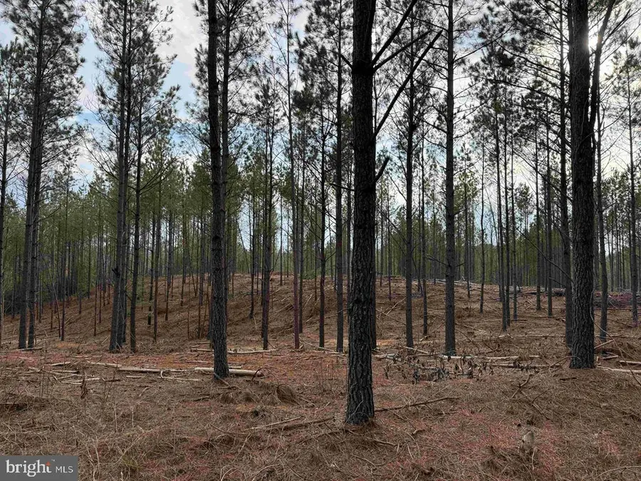 Calvary Church Road (tract: Tanager Et2-2011), Warsaw, VA 22572 - #2