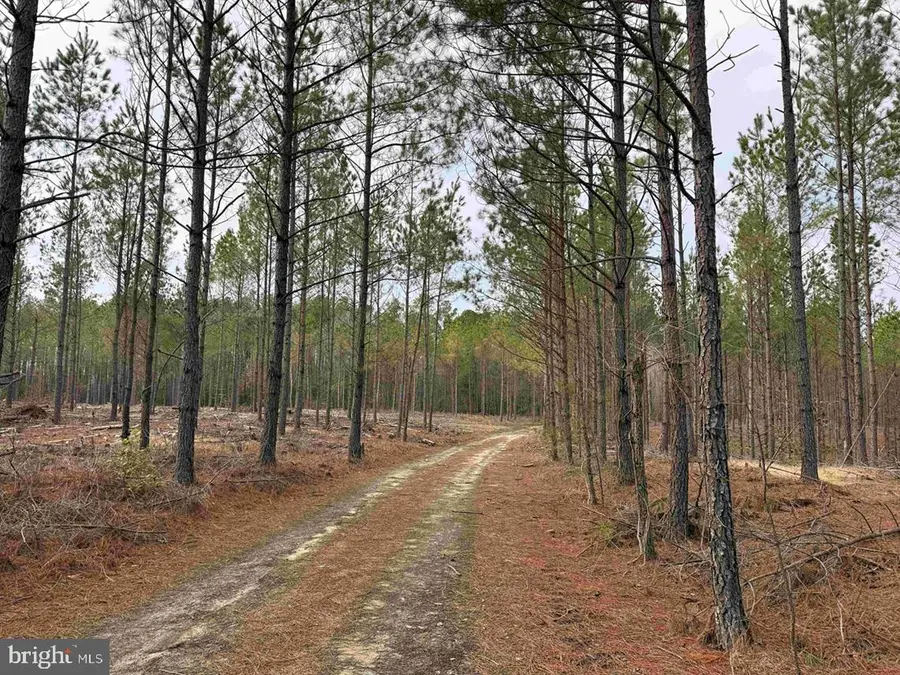 Calvary Church Road (tract: Tanager Et2-2011), Warsaw, VA 22572 - #3