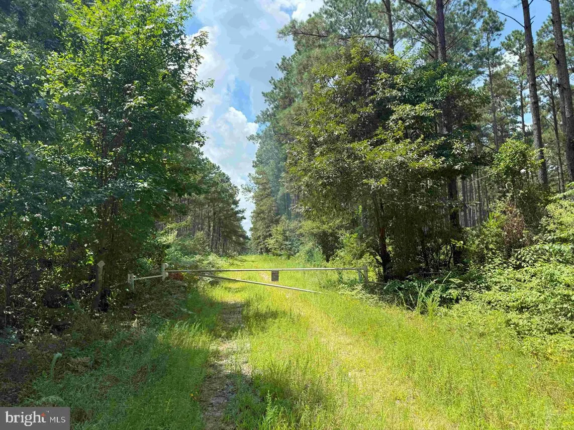 N Liberty Spring Rd (tract: Ches. Block 4-61-119), Suffolk, VA 23432 - Image #1