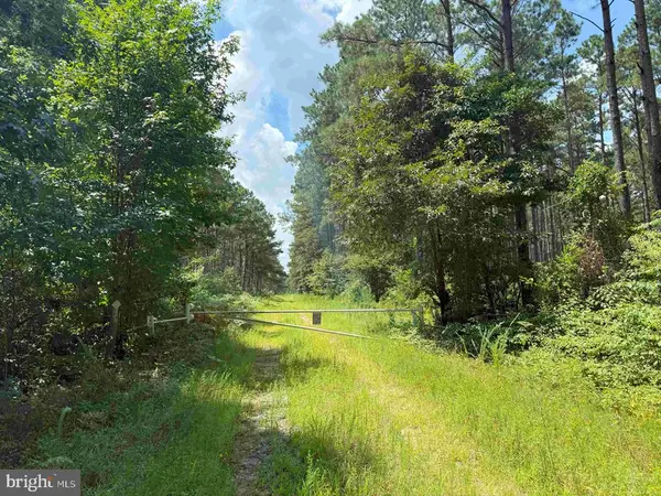 N Liberty Spring Rd (tract: Ches. Block 4-61-119), SUFFOLK, VA 23432